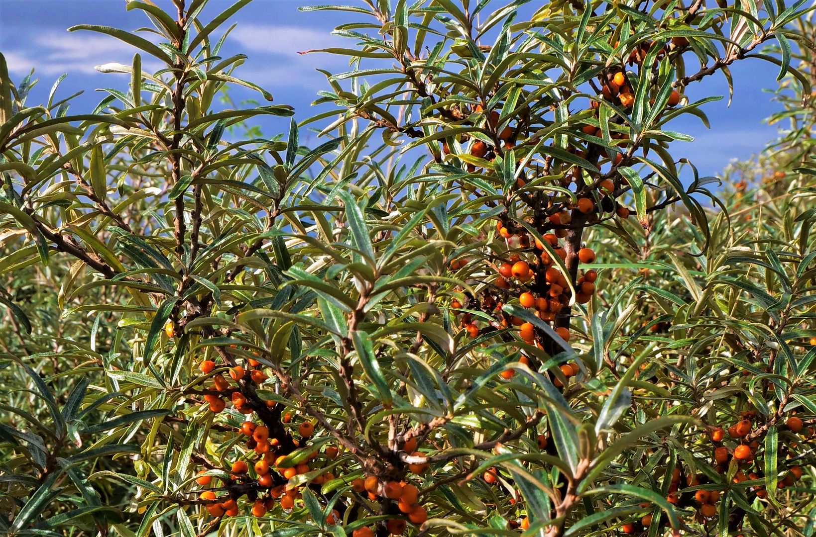 Erntezeit im Oktober