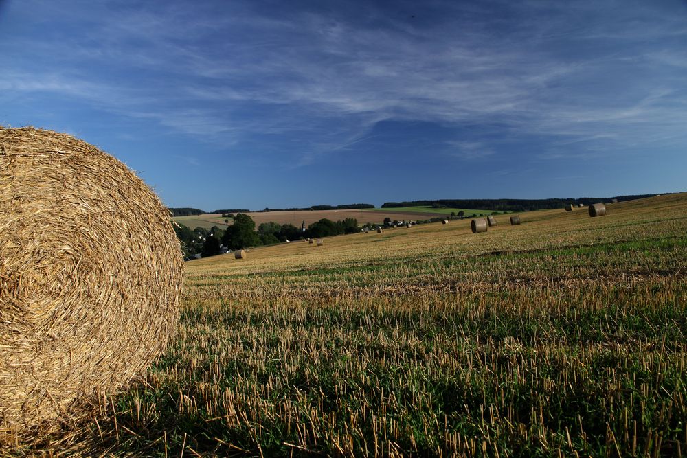 Erntezeit im Spätsommer