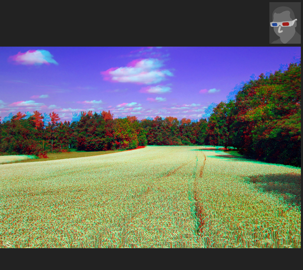 Erntezeit in 3D Anaglyphe Stereofotos _ für Druck geeignet