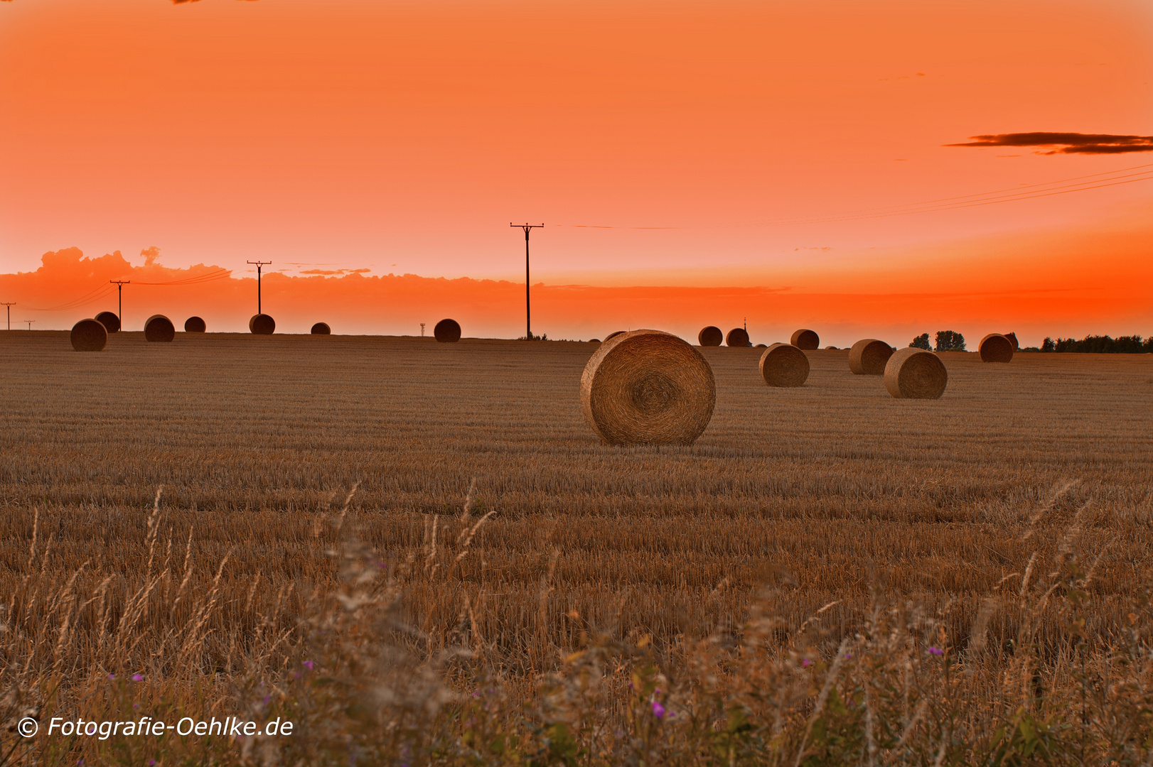 Erntezeit in Abendstimmung