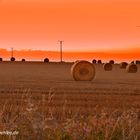 Erntezeit in Abendstimmung