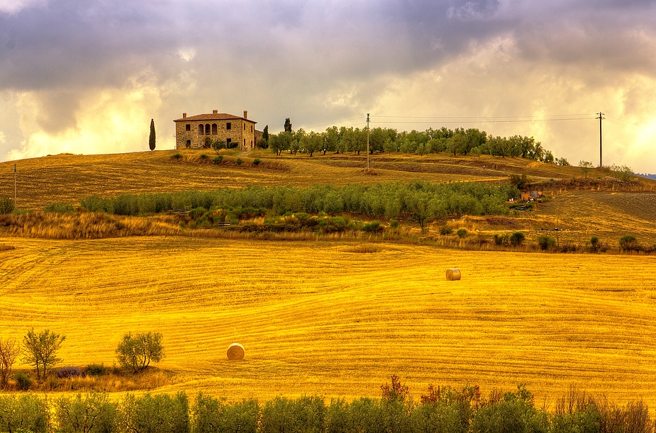 Erntezeit in der Toscana