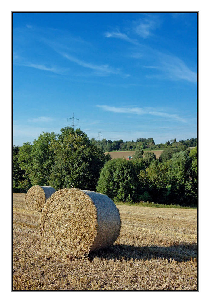 Erntezeit in Farbe