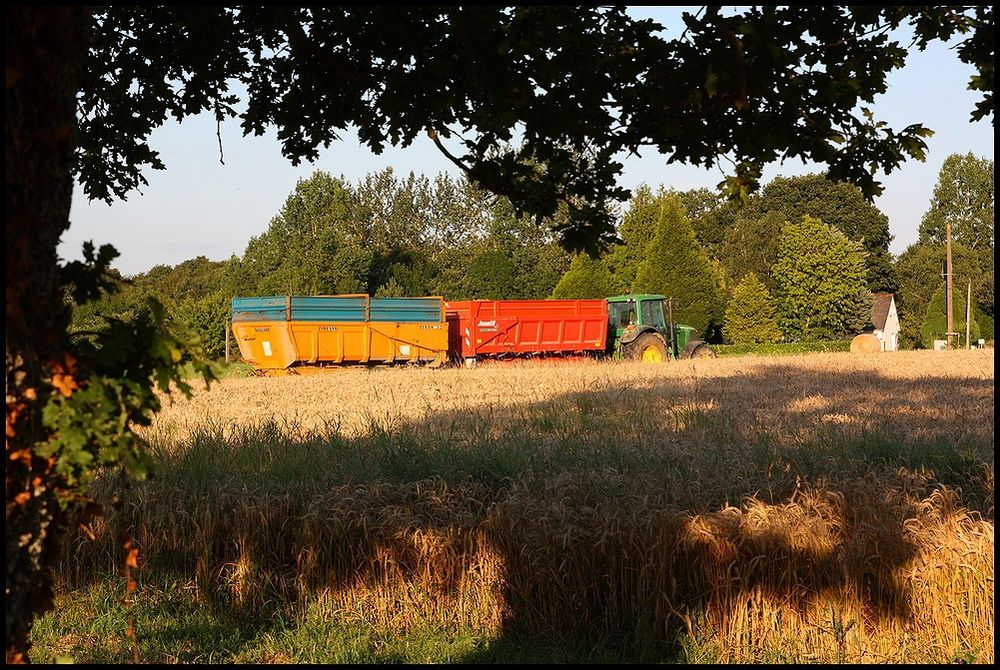 Erntezeit in Saint-Igneuc, Frankreich 4