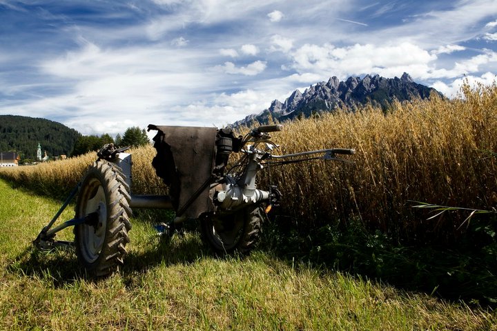 Erntezeit in Südtirol