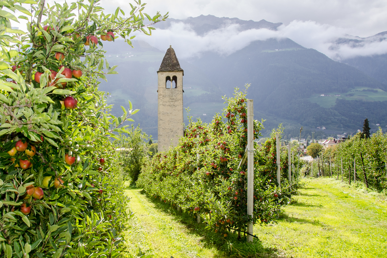 Erntezeit in Südtirol