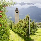 Erntezeit in Südtirol