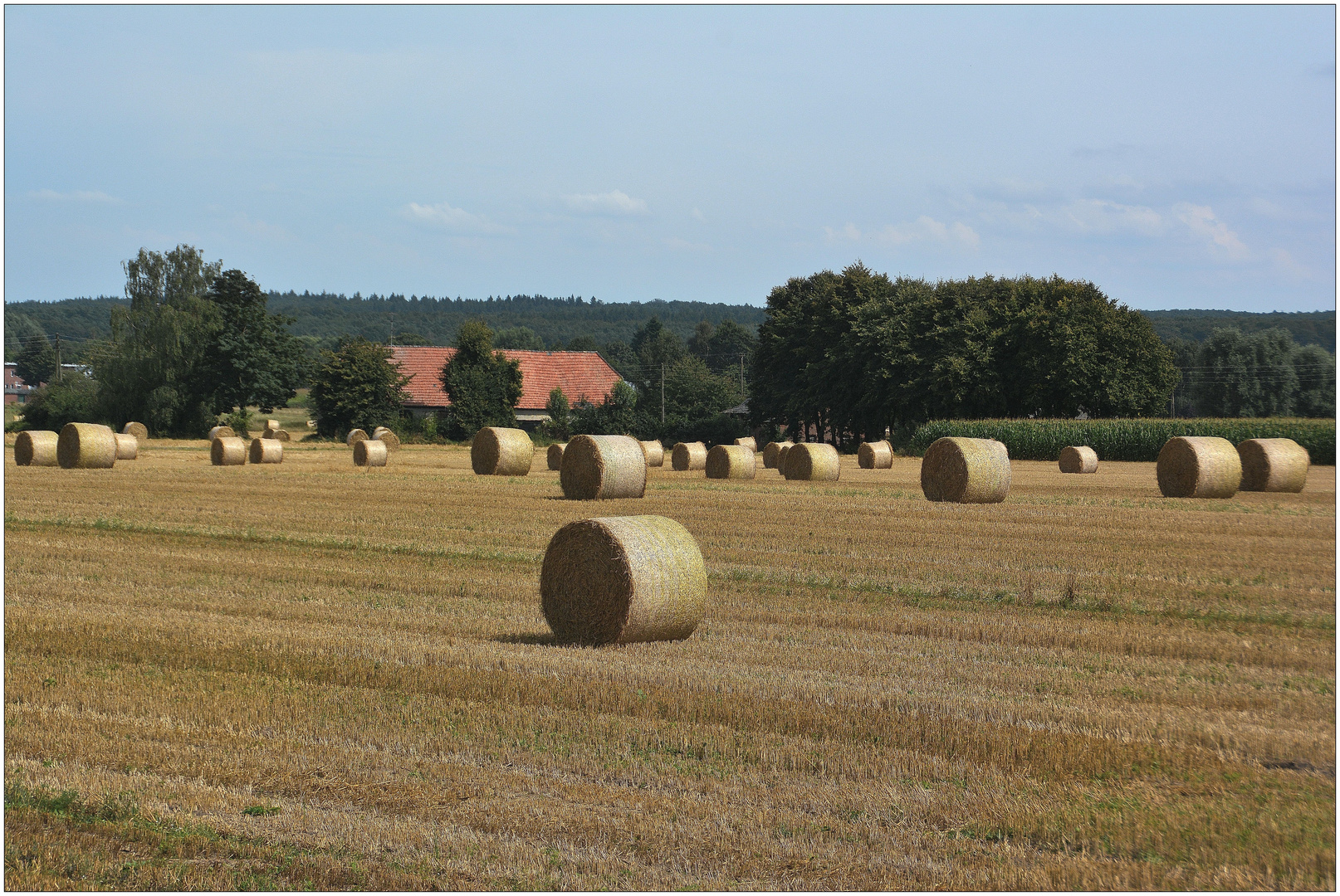 Erntezeit - Stoppelfeld mit Strohballen