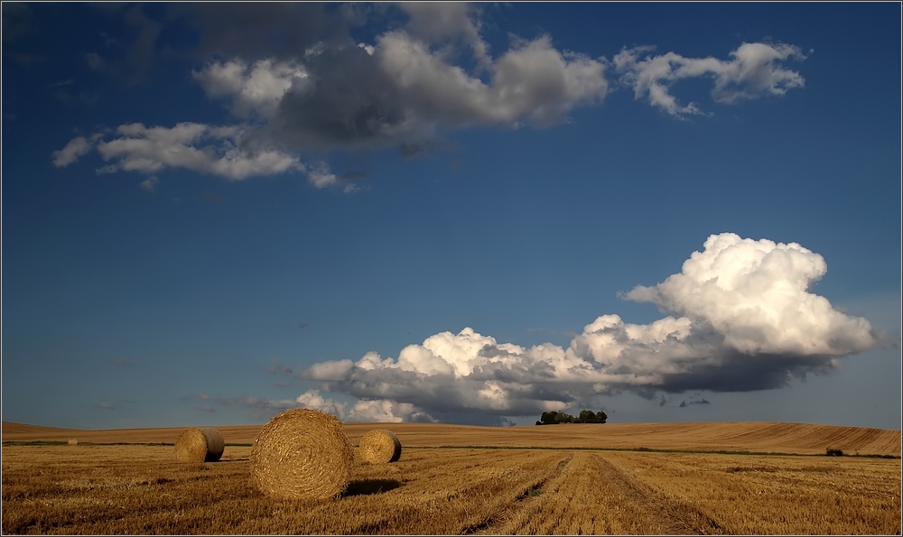 Erntezeit....Heimat