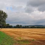 Erntezeit;Wettlauf mit dem Wetter.