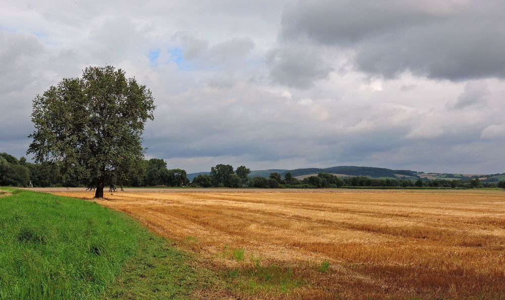 Erntezeit;Wettlauf mit dem Wetter.