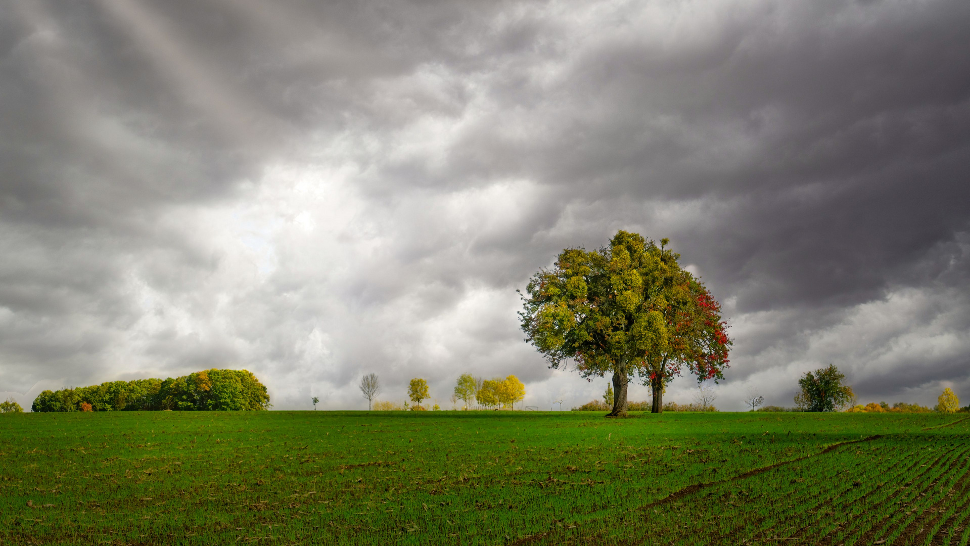 Ernzener Landschaft | Südeifel