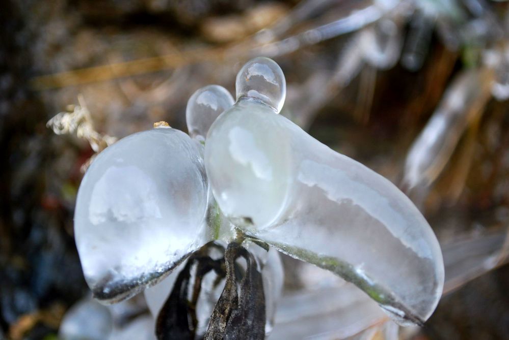 ..ero acqua..... di Rita Baio 