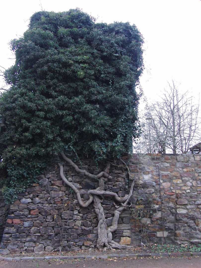 Eroberung der Burg