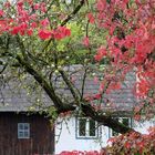 Eroberung in einem Dorfgarten