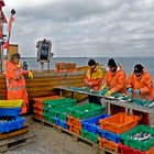 Eröffnung der Heringssaison in Binz