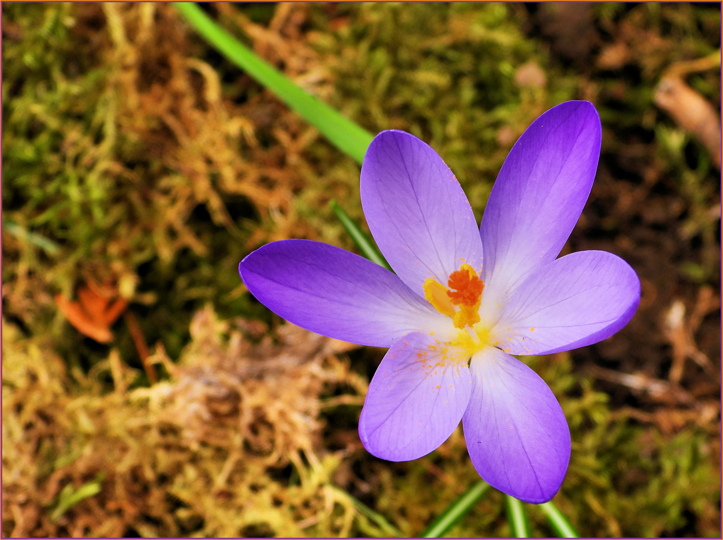 Eröffnung Vorfrühling 2020