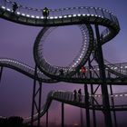 Eröffnungsabend Tiger and Turtle