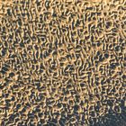 Erosion in der Wüste - natürliche Strukturen (21)