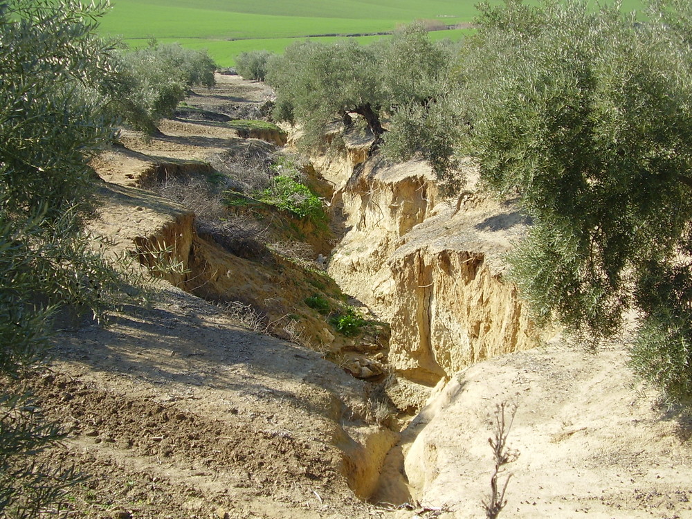 Erosion - Wenn sich der Boden teilt