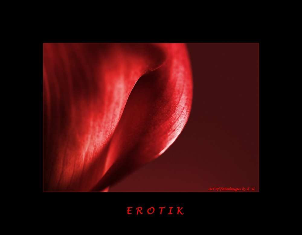 Erotic Flowers