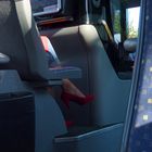 Erotik im Bus