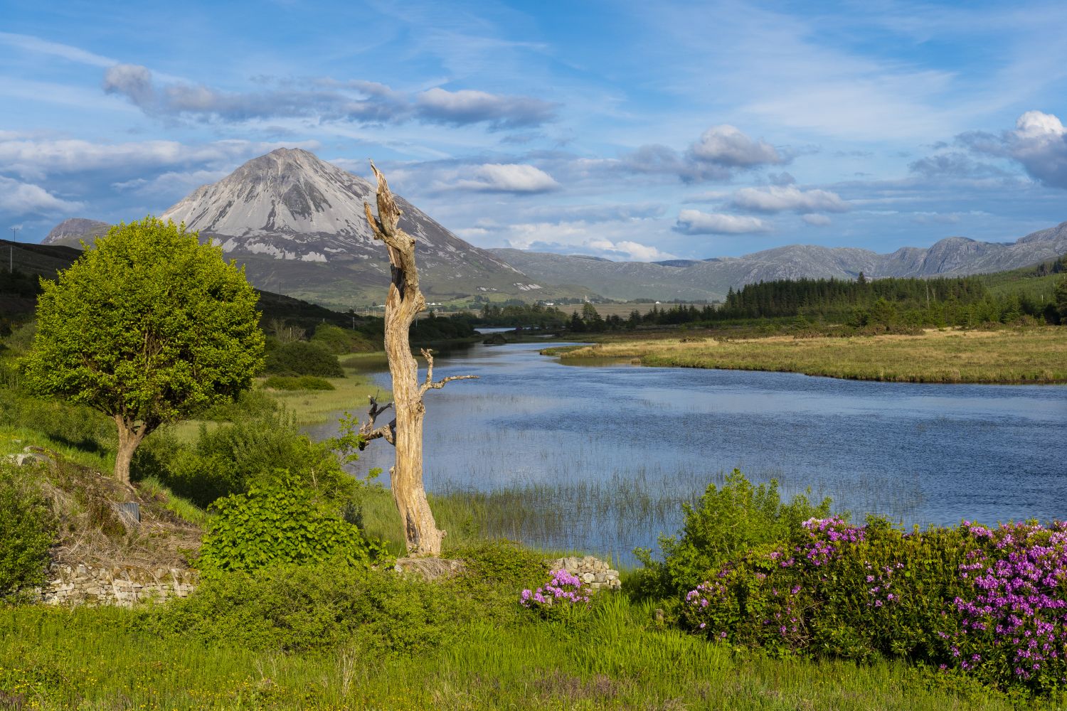 Errigal