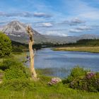 Errigal