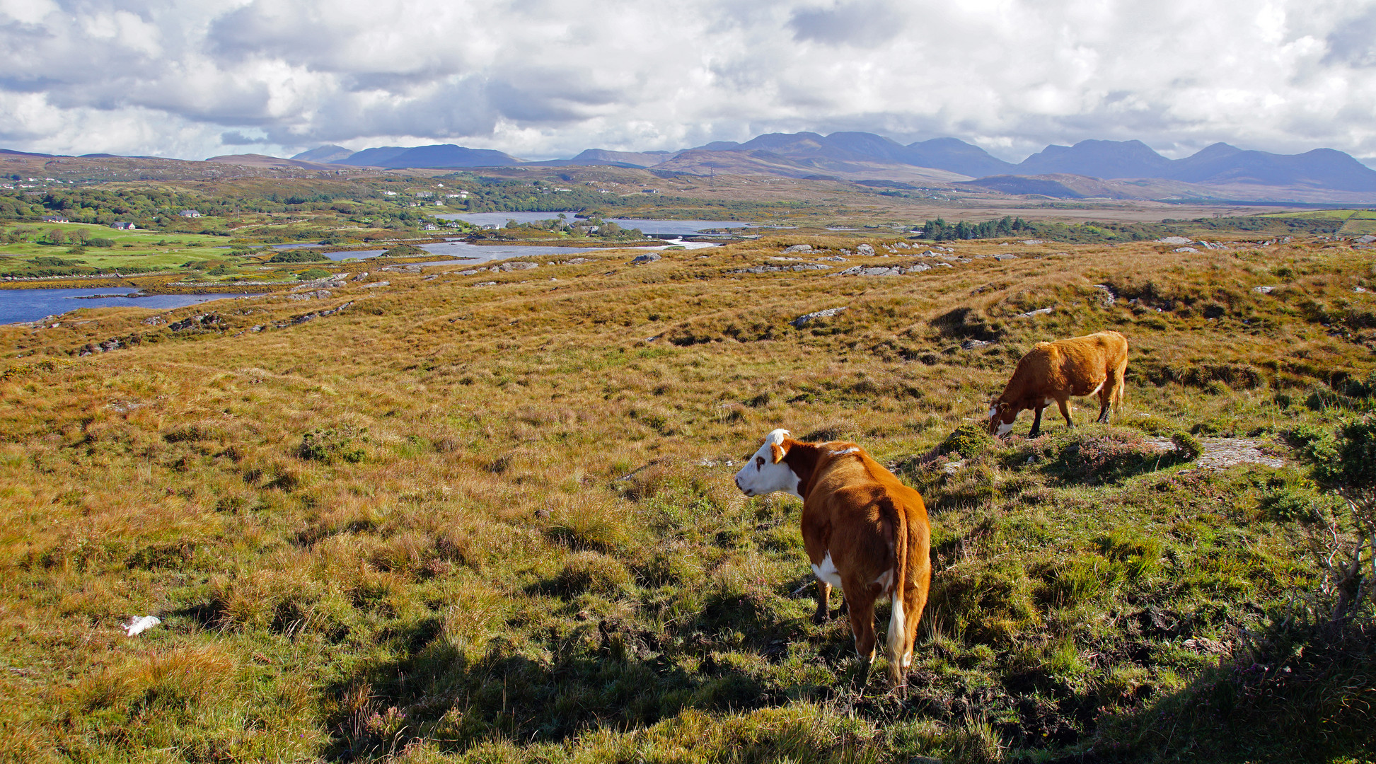 errislannan peninsula 3