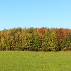 Ersatzfotozug Fuchstalbahn Teil 3: Bei Asch/Oberdiessen