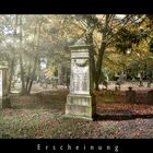 "Erscheinung"