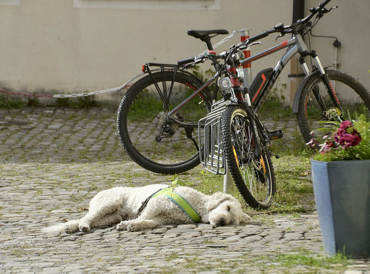 erschlagen ..