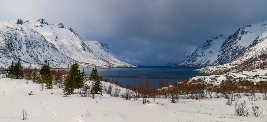 Ersfjord - Natur pur!