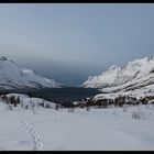 Ersfjordbotn