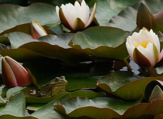 erst auf dem Foto endeckt