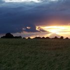 .....erst die Sonnenstrahlen...und dann der Regen......bald wird geerntet....