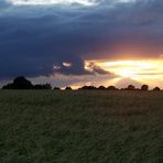 .....erst die Sonnenstrahlen...und dann der Regen......bald wird geerntet....