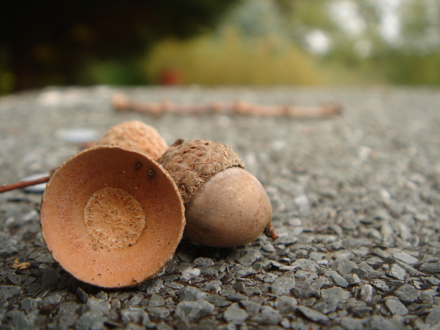 ...erst kommt der Herbst