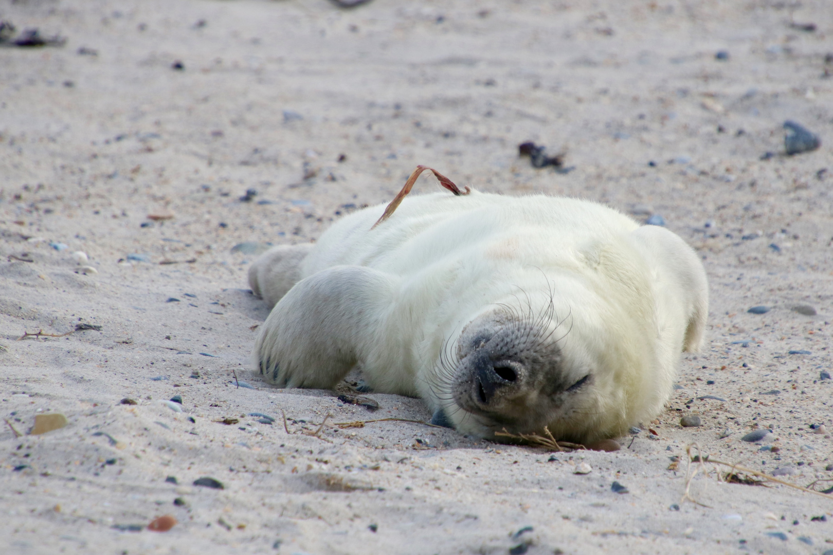 "Erst mal chillen"