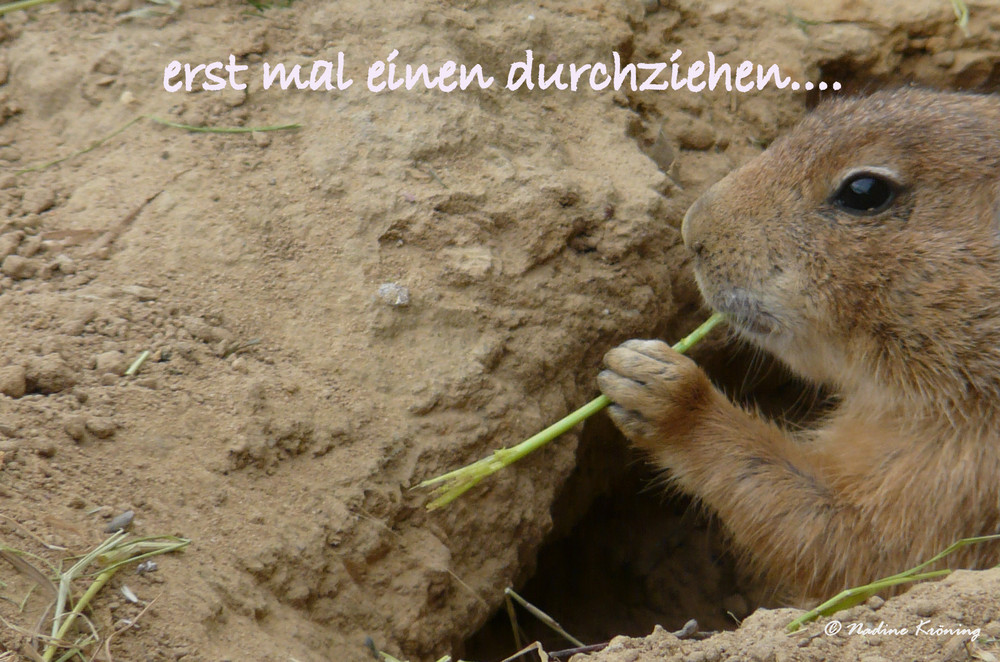 Durchziehen Durchziehen