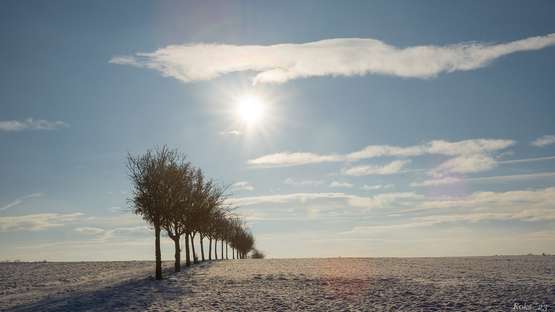 Erst Sonnenbrille raus ....