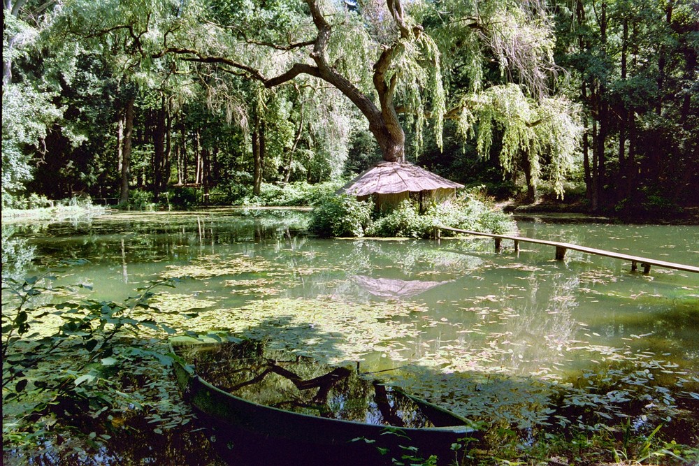 Erst spielten sie am Teich ein Weilchen...