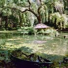 Erst spielten sie am Teich ein Weilchen...