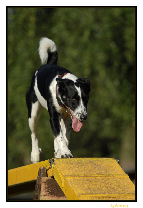 Erst trainieren und dann noch ein Fotoshooting....