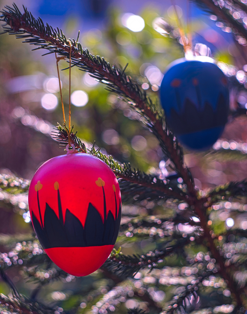 Erst Weihnachtsbaum, jetzt "Osterbaum".....