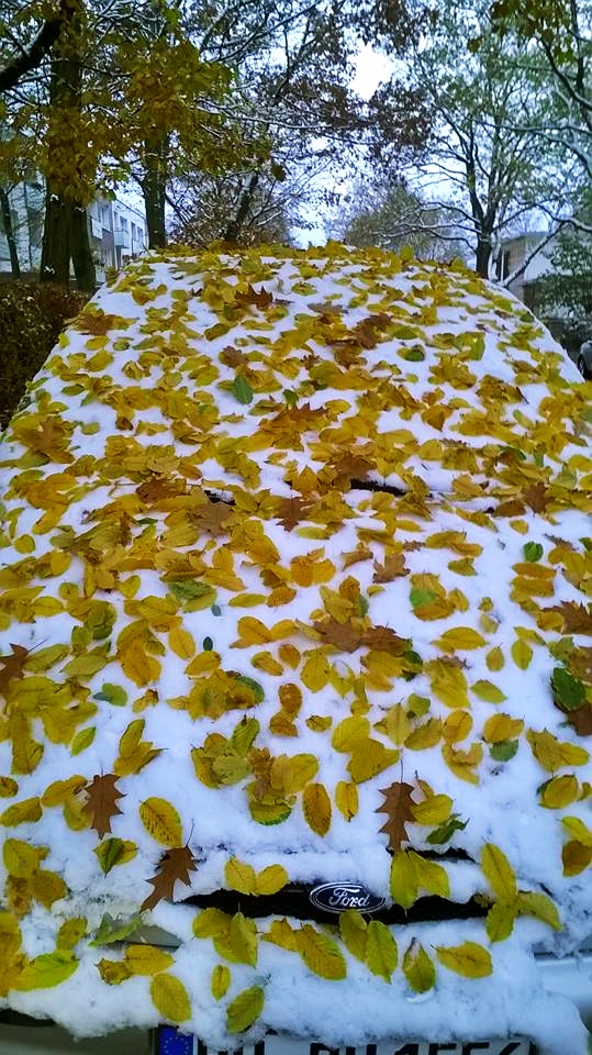 Erst Winter dann Herbst?