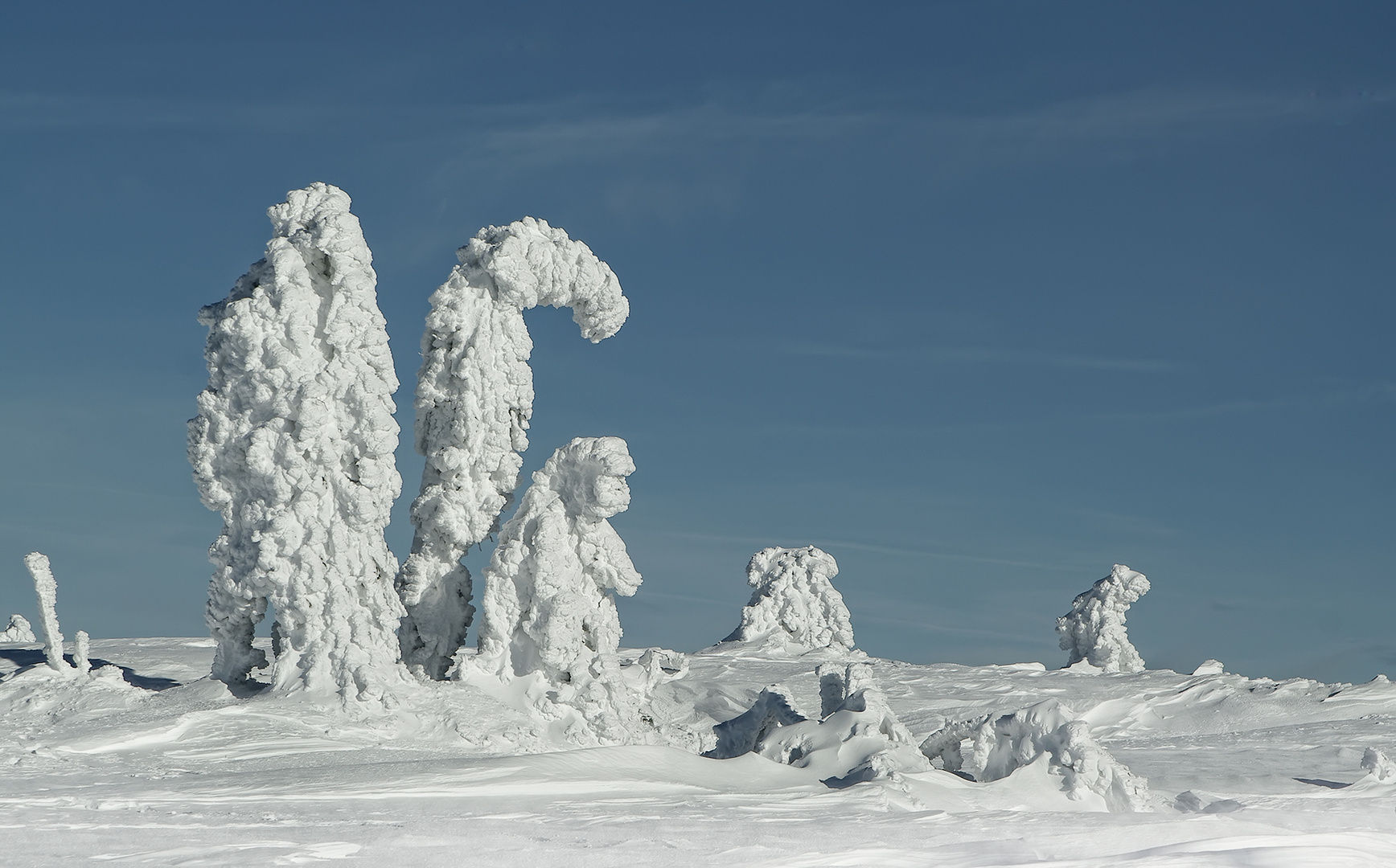 Erstarrt zu Schneesäulen