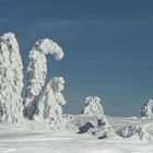 Erstarrt zu Schneesäulen