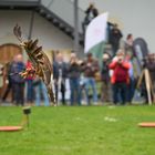 Erstaunliche Vollbremsung