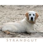 Erstaunliches Strandgut...